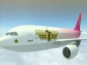 Airlines flight dp 69 first scene with tarra white