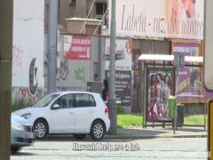 Baise improvisée dans un jardin public en caméra cachée